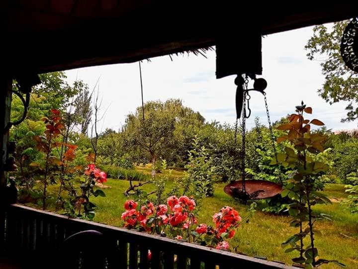 Perla Neagra Lotus Spa Caineni-Bai المظهر الخارجي الصورة